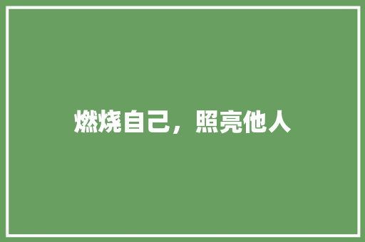 燃烧自己，照亮他人