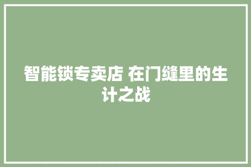 智能锁专卖店 在门缝里的生计之战