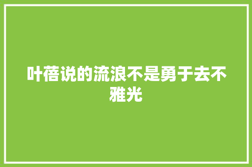 叶蓓说的流浪不是勇于去不雅光