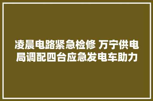 凌晨电路紧急检修 万宁供电局调配四台应急发电车助力