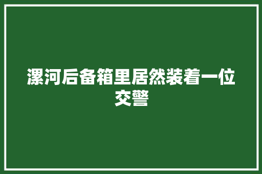 漯河后备箱里居然装着一位交警