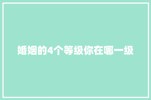 婚姻的4个等级你在哪一级
