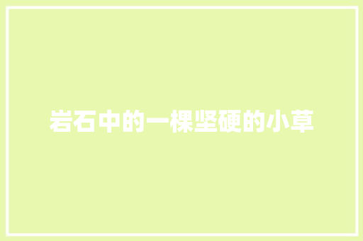 岩石中的一棵坚硬的小草