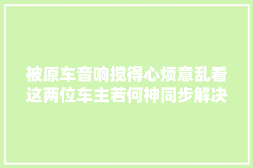 被原车音响搅得心烦意乱看这两位车主若何神同步解决