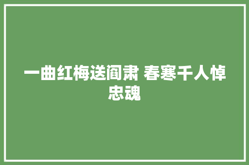 一曲红梅送阎肃 春寒千人悼忠魂