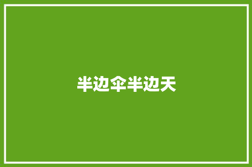 半边伞半边天