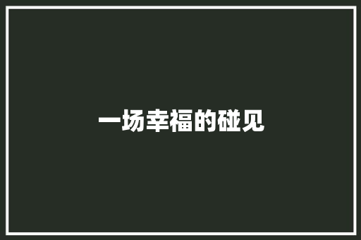 一场幸福的碰见