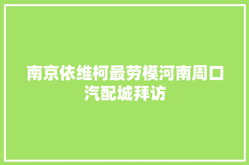 南京依维柯最劳模河南周口汽配城拜访