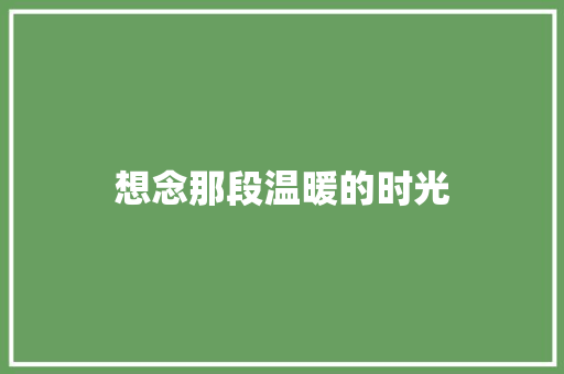 想念那段温暖的时光