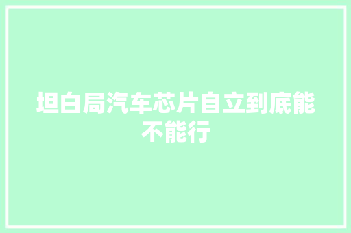 坦白局汽车芯片自立到底能不能行