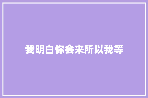 我明白你会来所以我等
