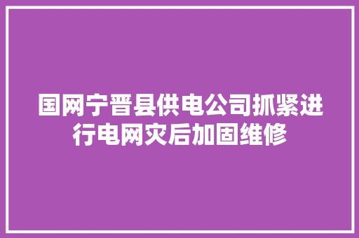国网宁晋县供电公司抓紧进行电网灾后加固维修
