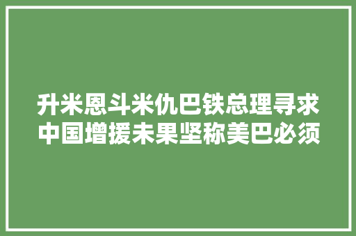 升米恩斗米仇巴铁总理寻求中国增援未果坚称美巴必须恢复关系