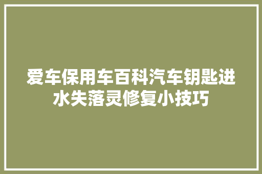爱车保用车百科汽车钥匙进水失落灵修复小技巧