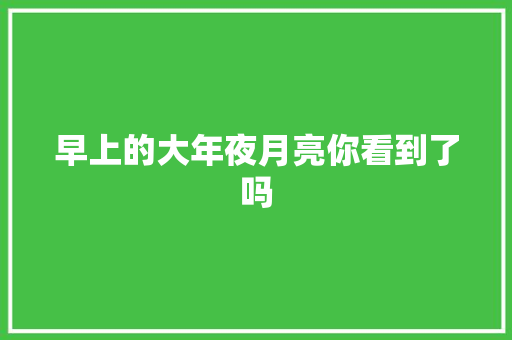 早上的大年夜月亮你看到了吗