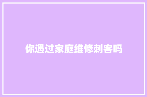 你遇过家庭维修刺客吗