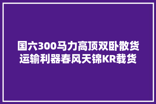 国六300马力高顶双卧散货运输利器春风天锦KR载货车来了