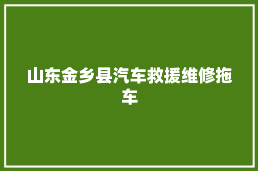 山东金乡县汽车救援维修拖车
