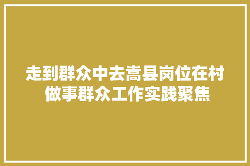 走到群众中去嵩县岗位在村 做事群众工作实践聚焦