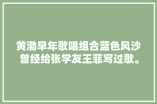 黄渤早年歌唱组合蓝色风沙曾经给张学友王菲写过歌。