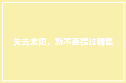 失去太阳，就不要错过群星
