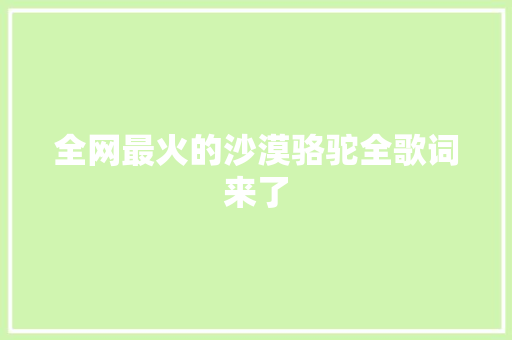 全网最火的沙漠骆驼全歌词来了