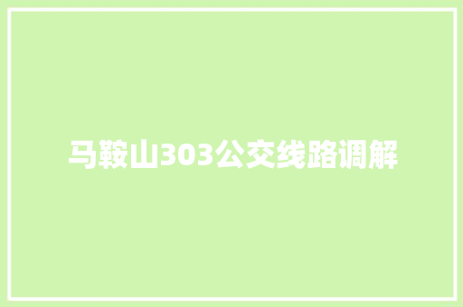 马鞍山303公交线路调解
