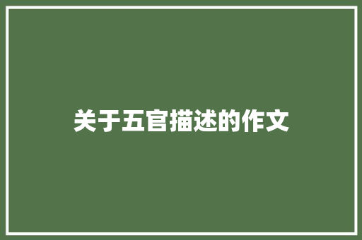 关于五官描述的作文