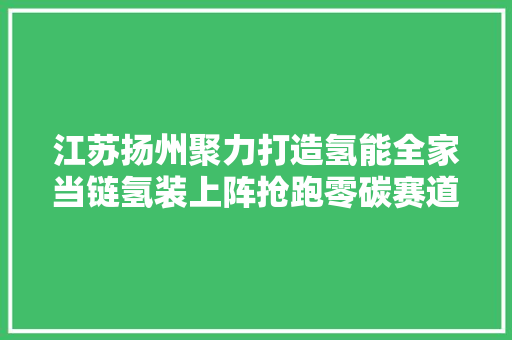 江苏扬州聚力打造氢能全家当链氢装上阵抢跑零碳赛道
