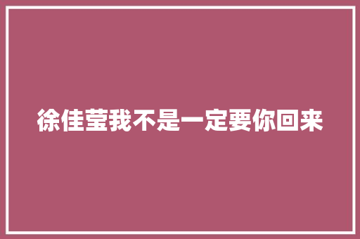 徐佳莹我不是一定要你回来
