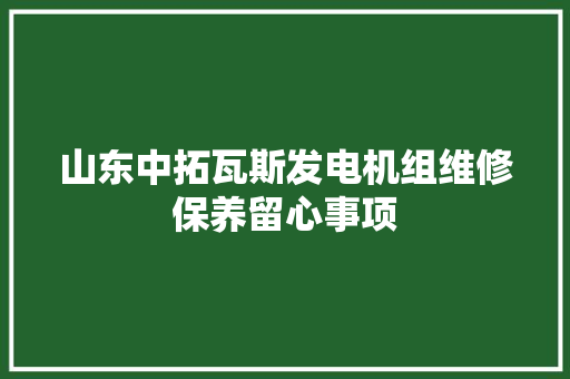 山东中拓瓦斯发电机组维修保养留心事项