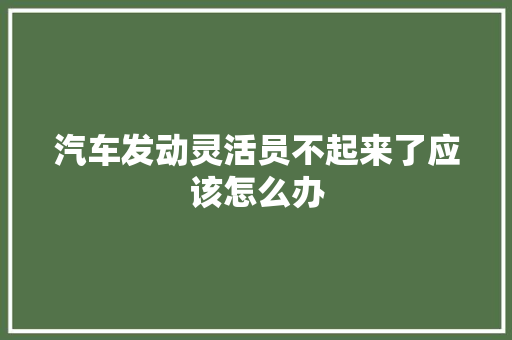 汽车发动灵活员不起来了应该怎么办