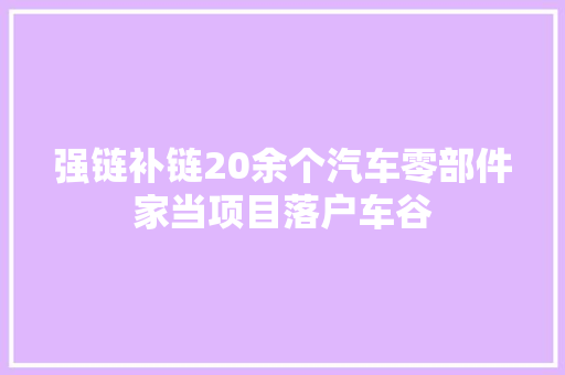 强链补链20余个汽车零部件家当项目落户车谷