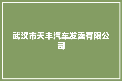 武汉市天丰汽车发卖有限公司