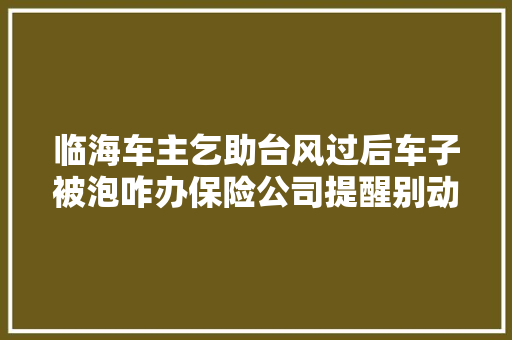 临海车主乞助台风过后车子被泡咋办保险公司提醒别动车先摄影再报案