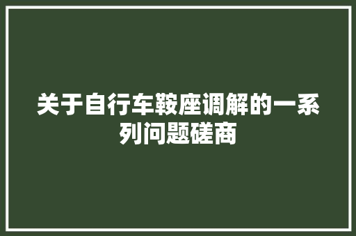 关于自行车鞍座调解的一系列问题磋商