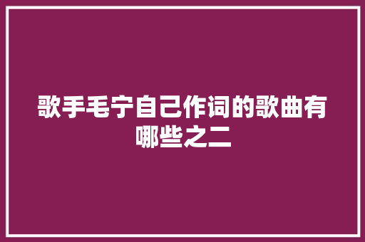 歌手毛宁自己作词的歌曲有哪些之二