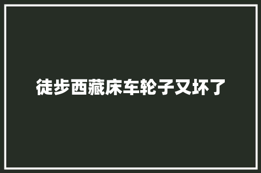徒步西藏床车轮子又坏了
