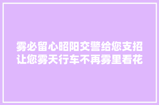 雾必留心昭阳交警给您支招让您雾天行车不再雾里看花 汽车知识