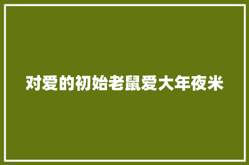 对爱的初始老鼠爱大年夜米