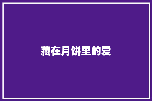 藏在月饼里的爱
