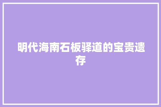 明代海南石板驿道的宝贵遗存