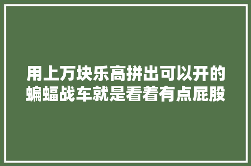 用上万块乐高拼出可以开的蝙蝠战车就是看着有点屁股疼