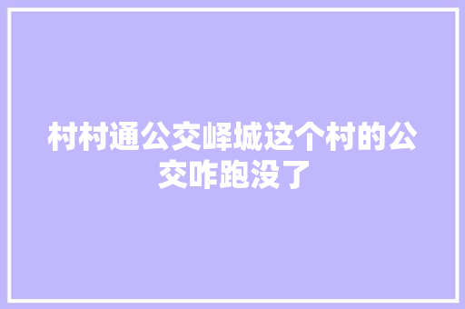 村村通公交峄城这个村的公交咋跑没了