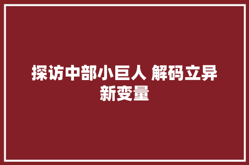 探访中部小巨人 解码立异新变量