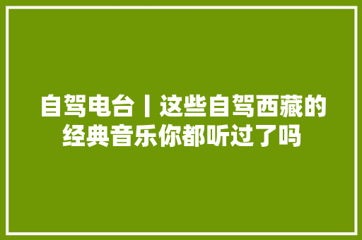自驾电台丨这些自驾西藏的经典音乐你都听过了吗