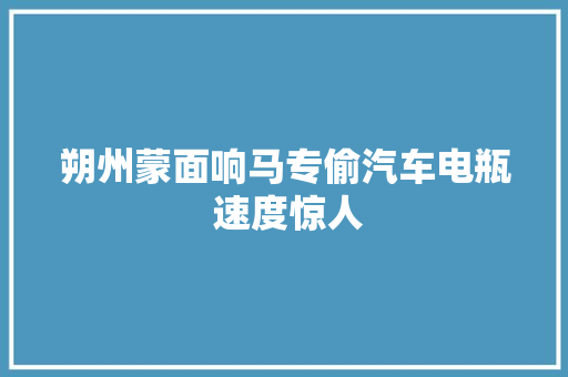 朔州蒙面响马专偷汽车电瓶 速度惊人