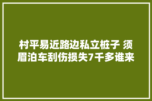 村平易近路边私立桩子 须眉泊车刮伤损失7千多谁来赔