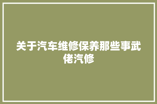 关于汽车维修保养那些事武佬汽修