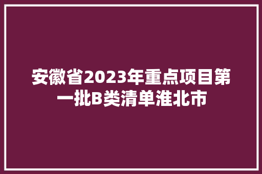 安徽省2023年重点项目第一批B类清单淮北市